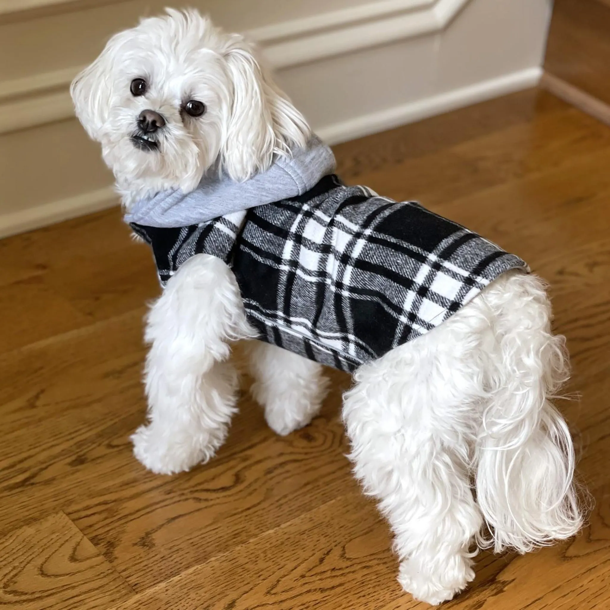 Weekender Dog Sweatshirt Hoodie - Black and White Plaid Flannel