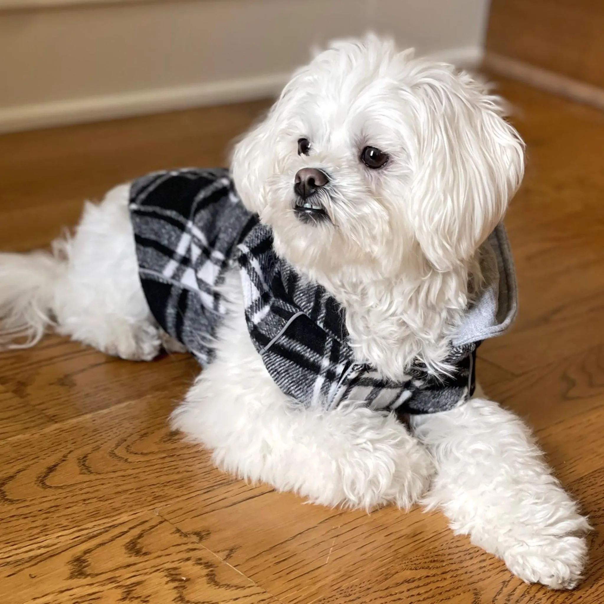 Weekender Dog Sweatshirt Hoodie - Black and White Plaid Flannel